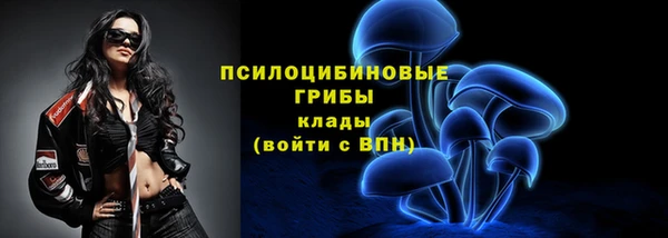 соль ск Краснослободск