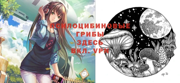 соль курить ск Козловка