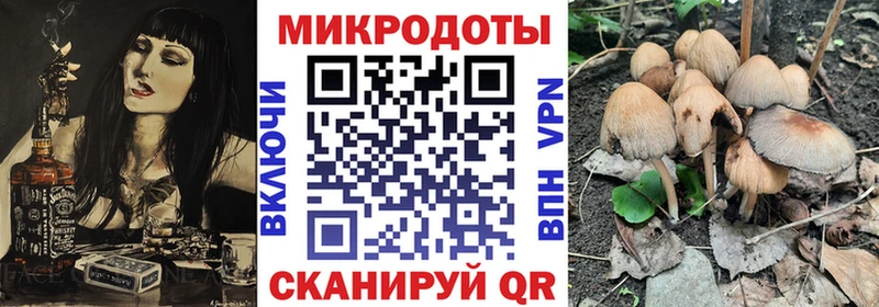 Галлюциногенные грибы Psilocybe  Архангельск 